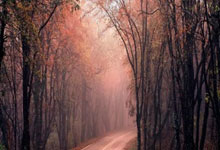 开云:本月至今班凯罗场均30.2分7.7板4.3助 30+场次仅次于SGA&东契奇.