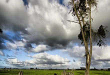 开云：[图]U17亚预赛-艾比布拉双响 国少四中门框6-0不丹.