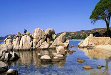 米体谈莫塔失去更衣室支持：管理混乱+流动队长制+打压功勋.